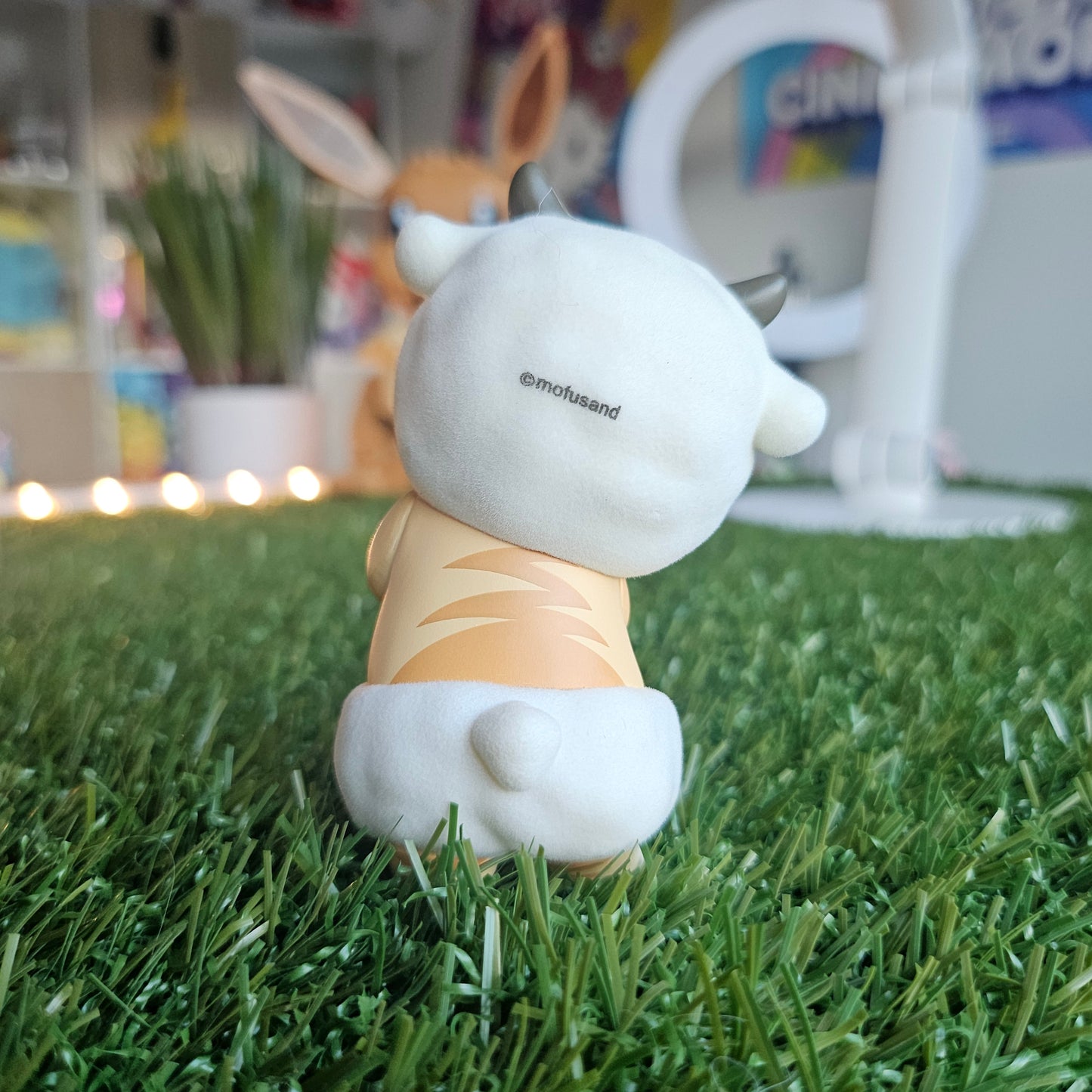 sheep lamb mofusand cat