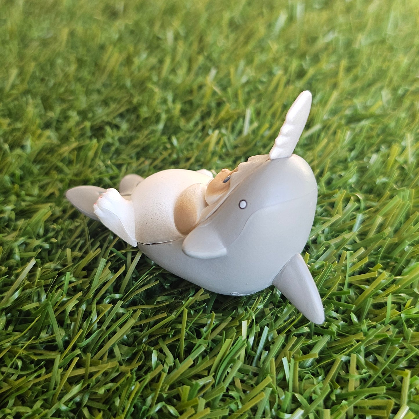 laying saw shark meow mofusand cat