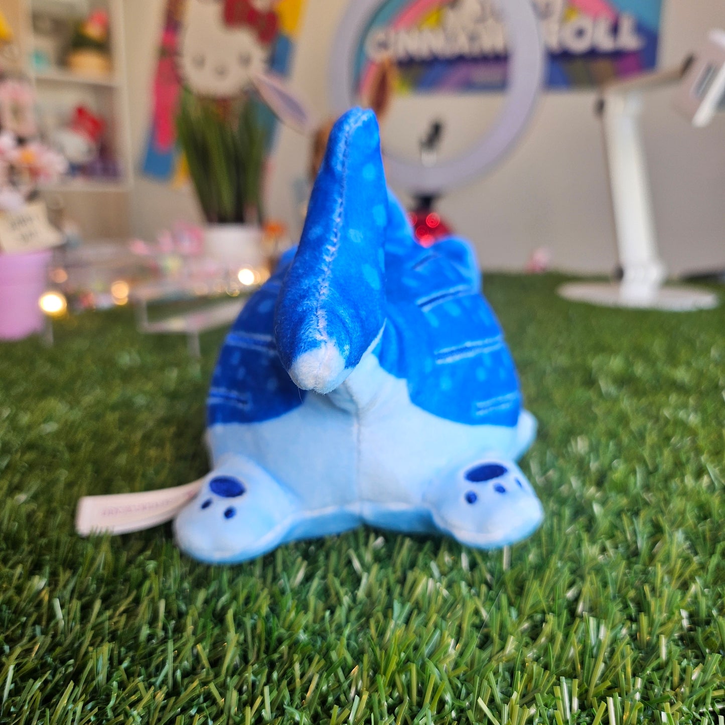 whale shark aphmau cat