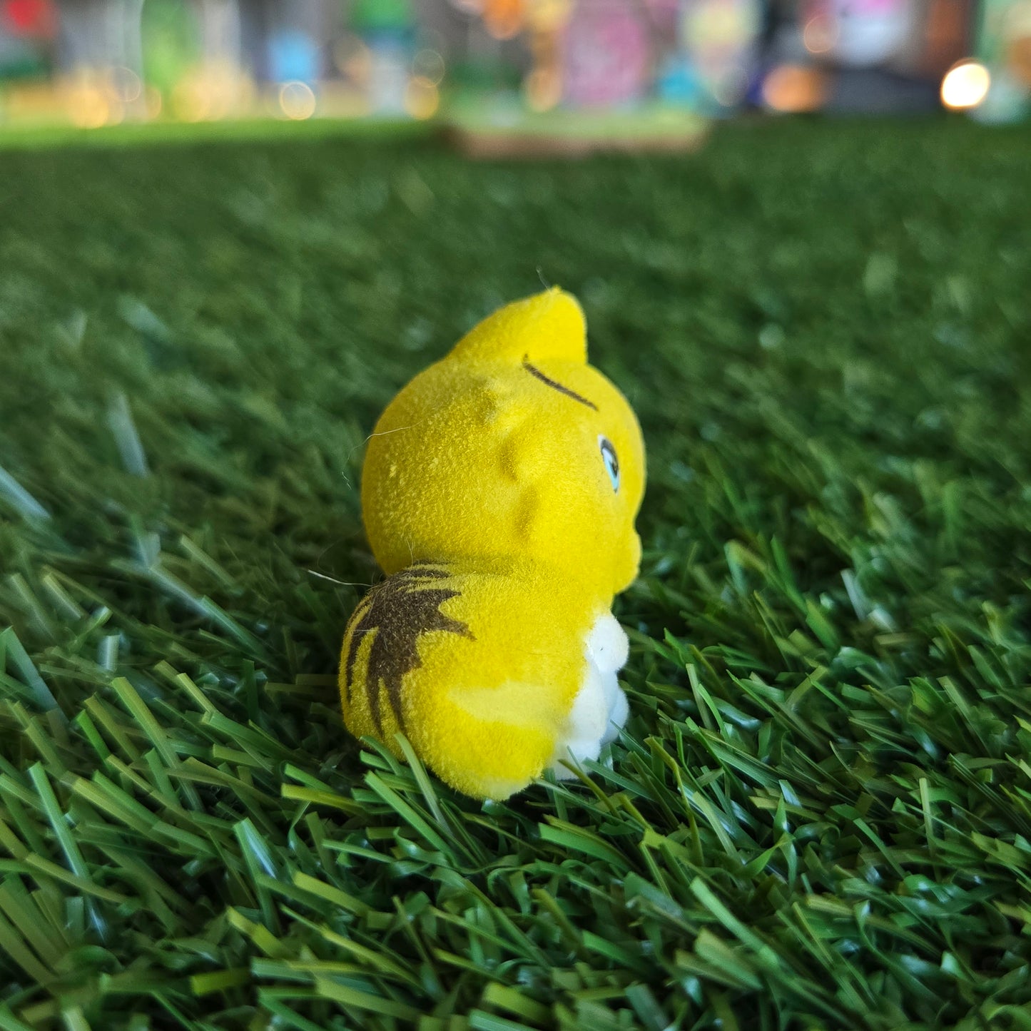 yellow cat lying down figure