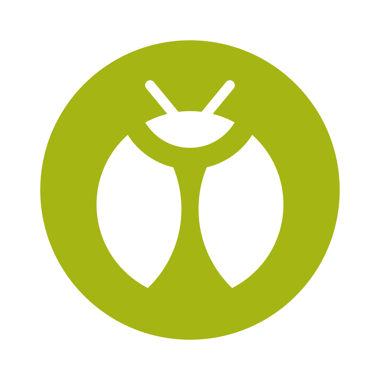 Bug Type Pokemon Cards 🪲