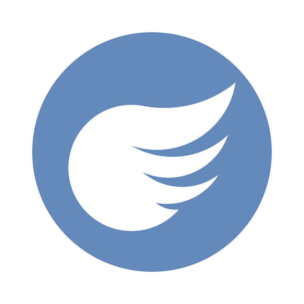 Fly Typing Collections – SugarStar Store