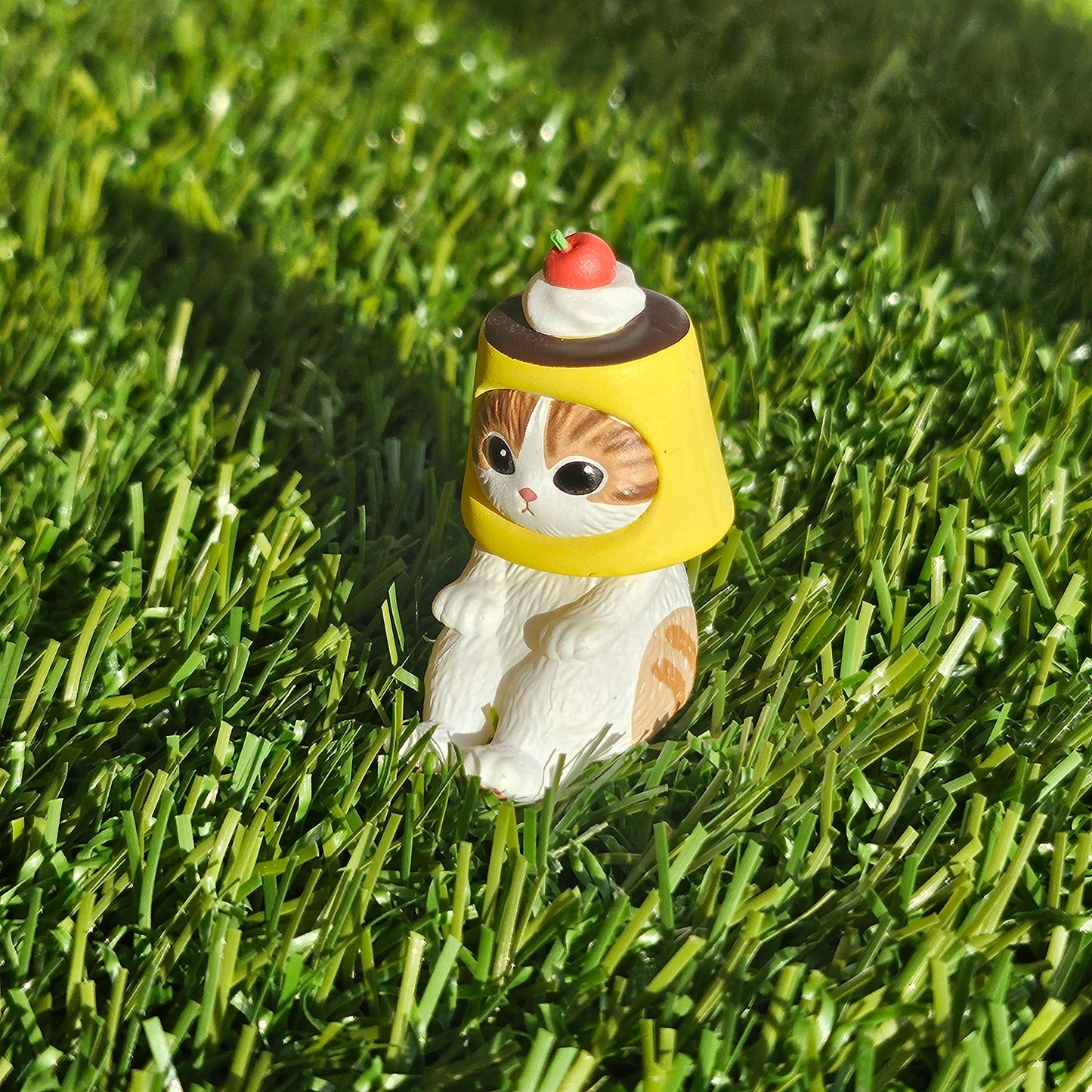 sitting pudding mofusand cat