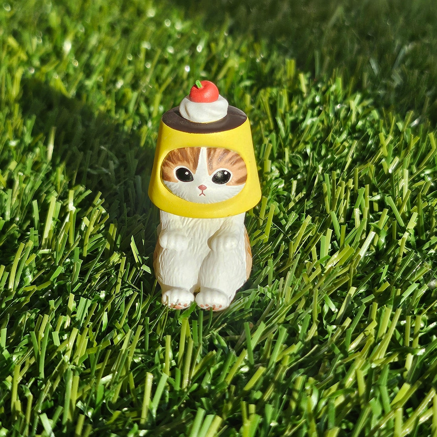 sitting pudding mofusand cat