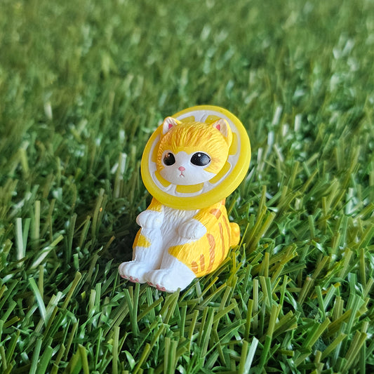 sitting lemon mofusand cat