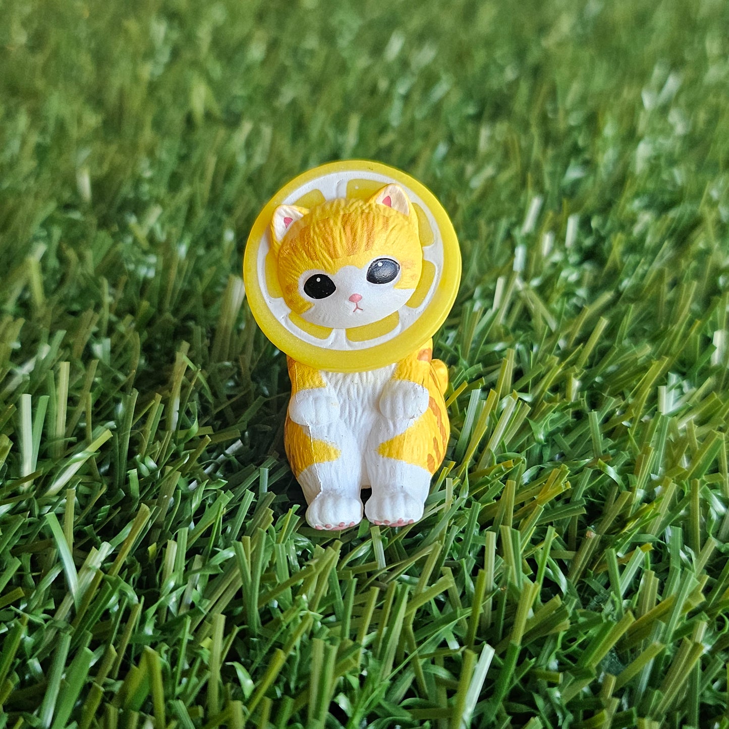 sitting lemon mofusand cat