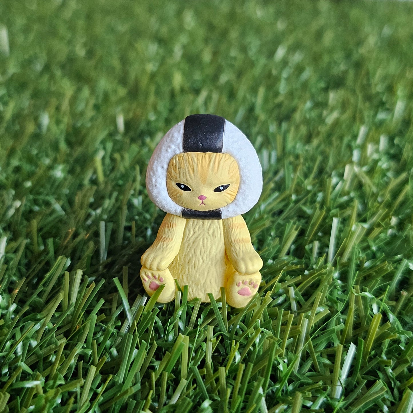 sitting sushi mofusand cat