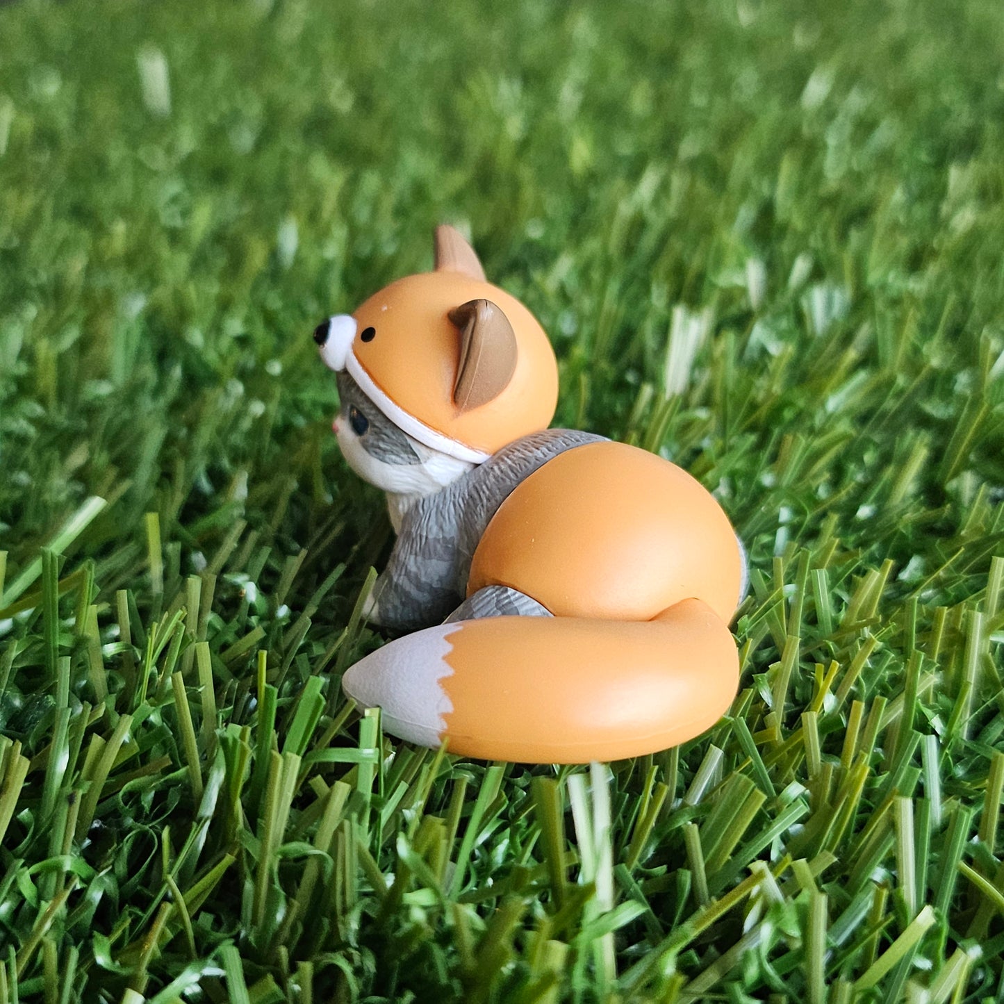 baby fox mofusand cat