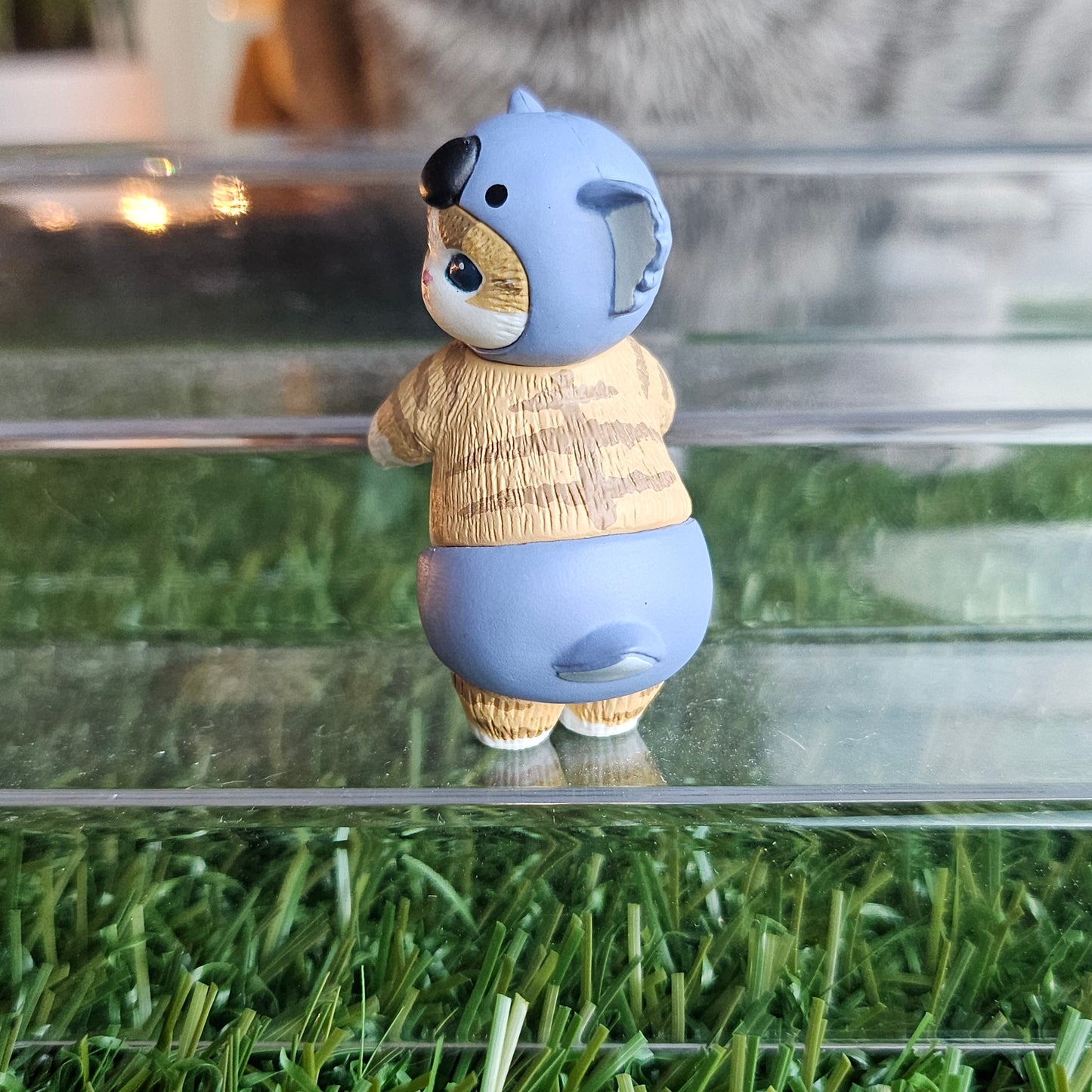 baby koala mofusand cat