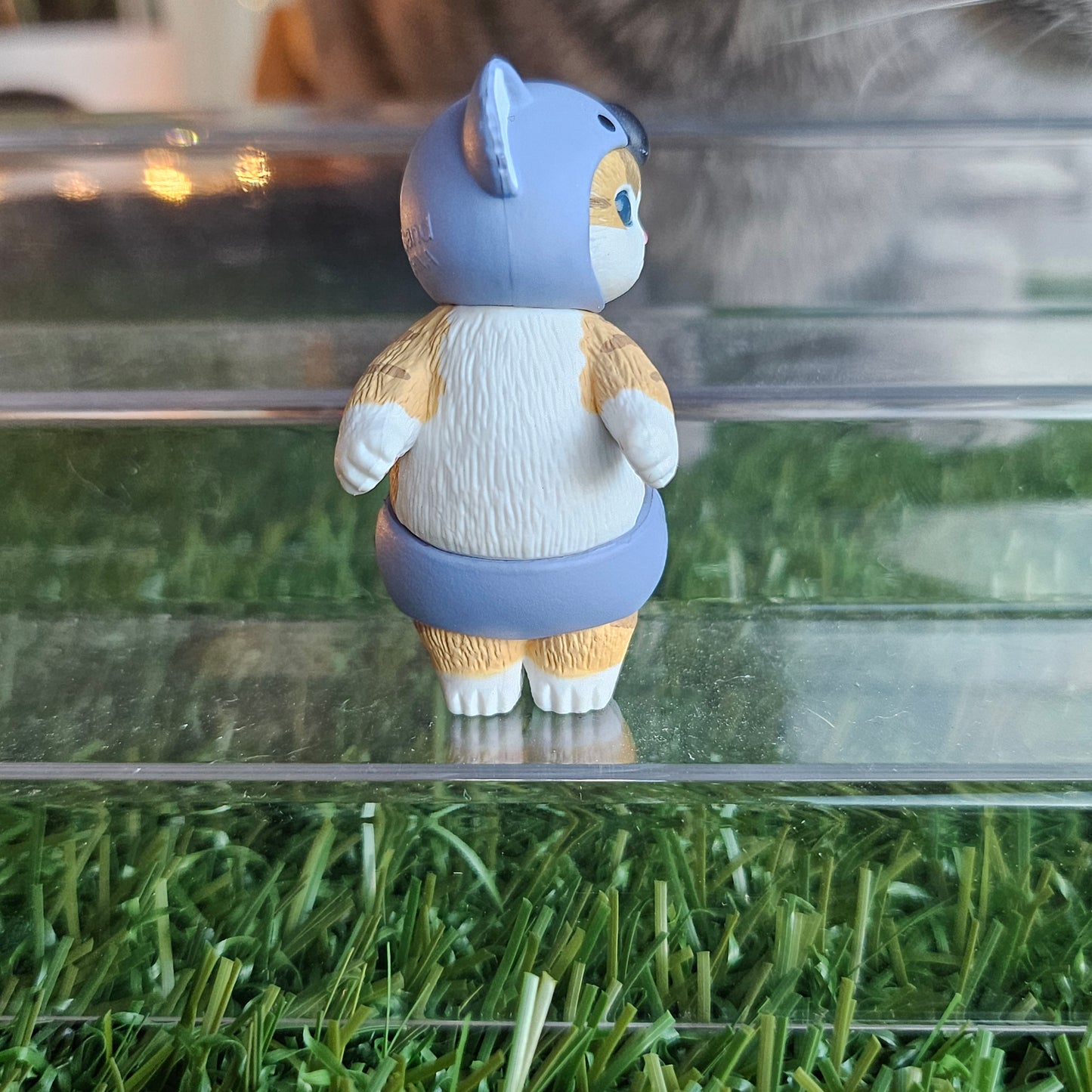 baby koala mofusand cat