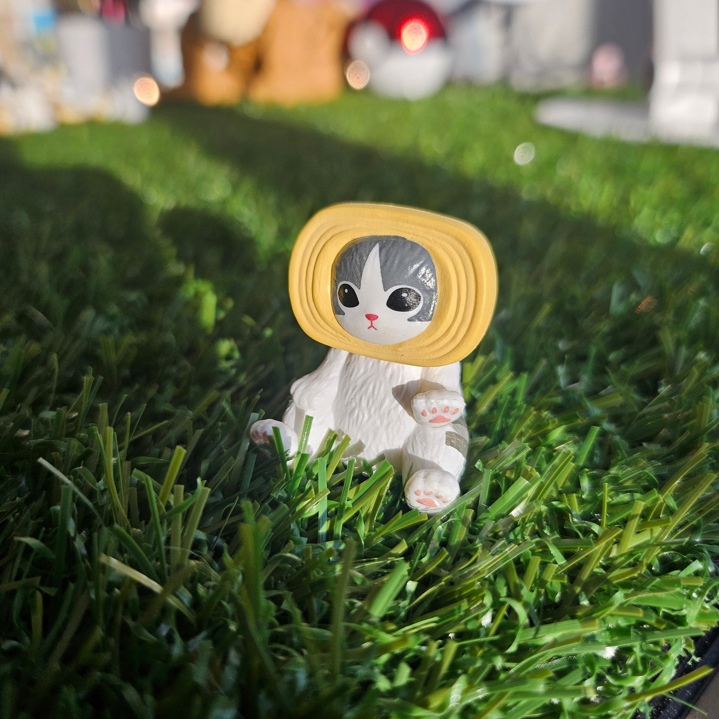 sitting roll cakemofusand cat