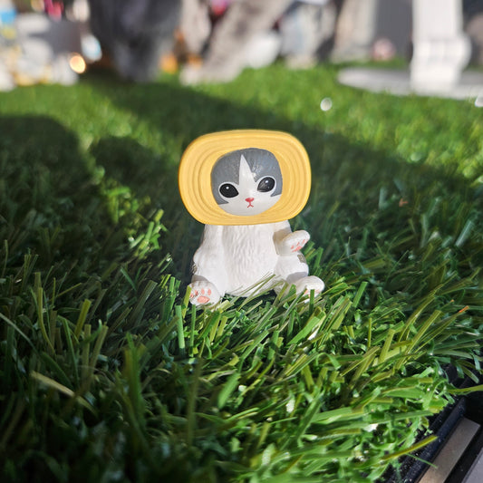 sitting roll cakemofusand cat