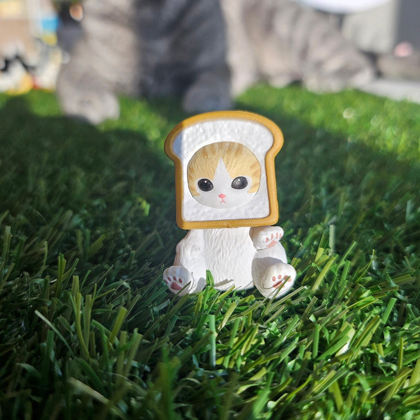 sitting toast mofusand cat