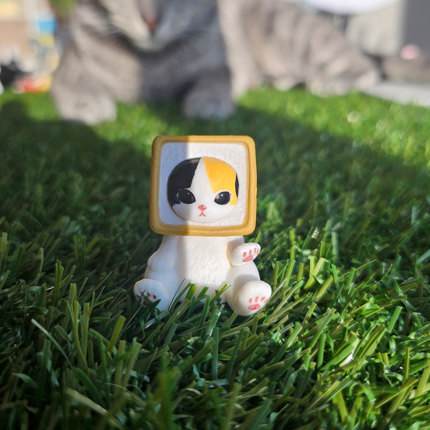 square bread mofusand cat