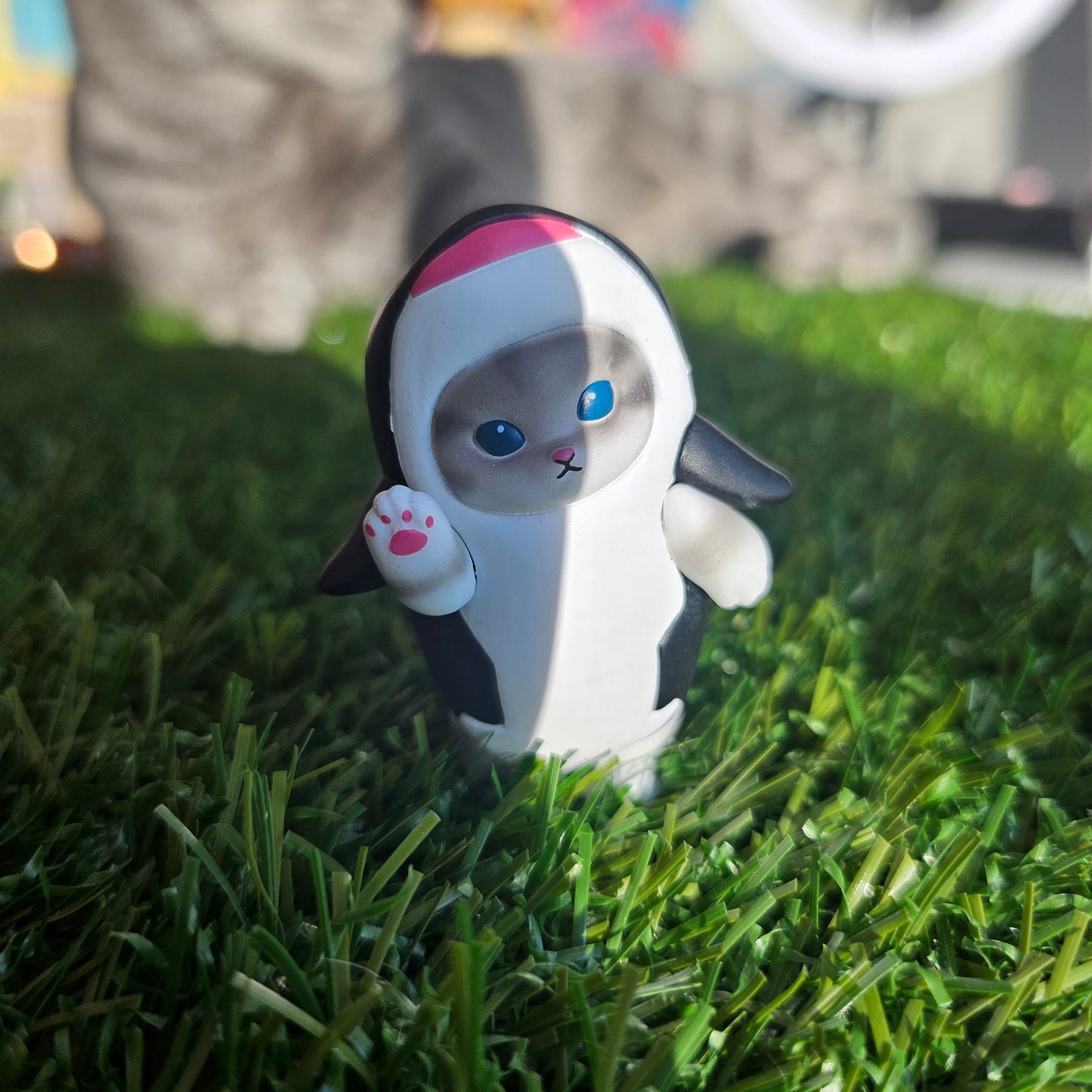 orca whale meow mofusand cat