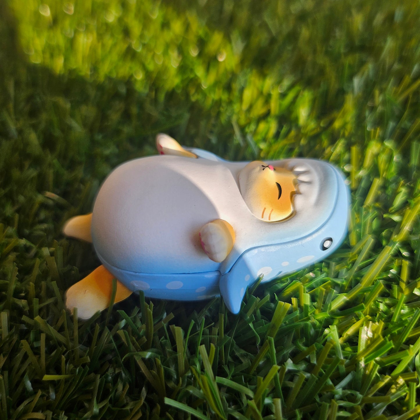 sleeping whale meow mofusand cat