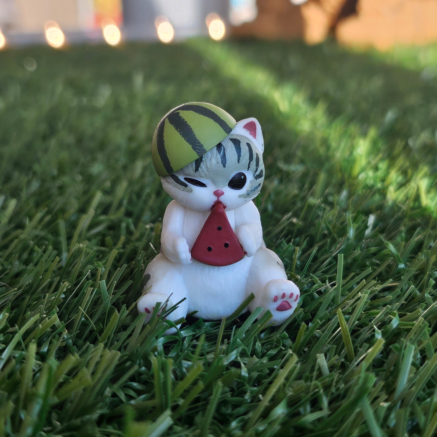 sitting watermelon mofusand cat