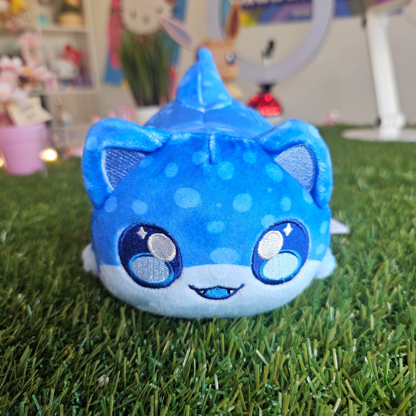 whale shark aphmau cat