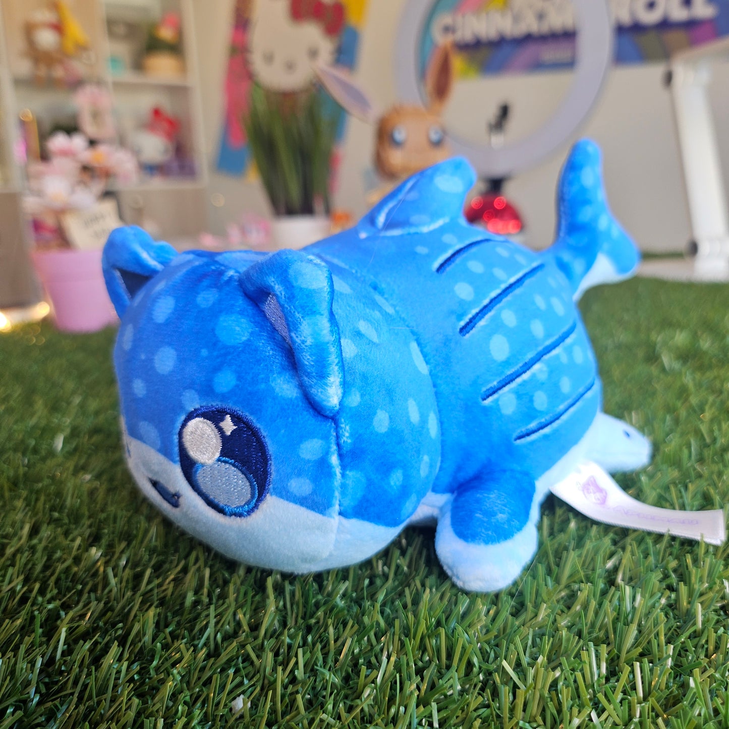 whale shark aphmau cat