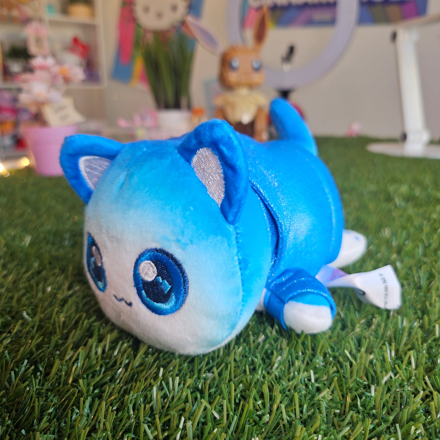 blue hoodie aphmau cat (pierce)