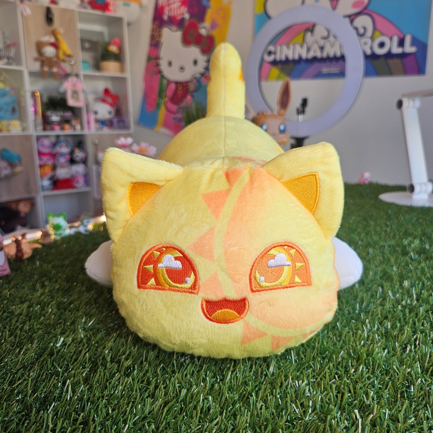 jumbo sunny aphmau cat