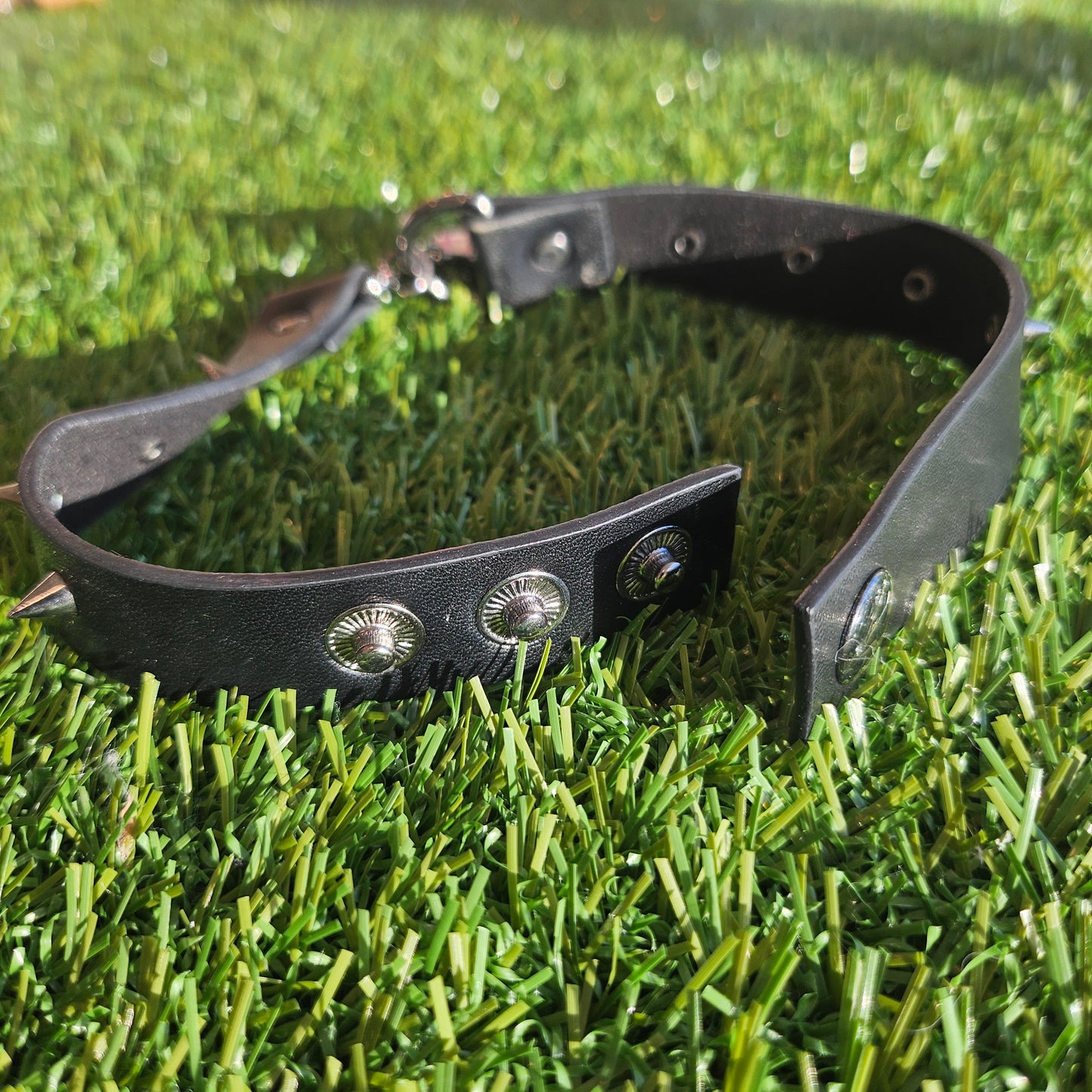 cheeky but charming choker