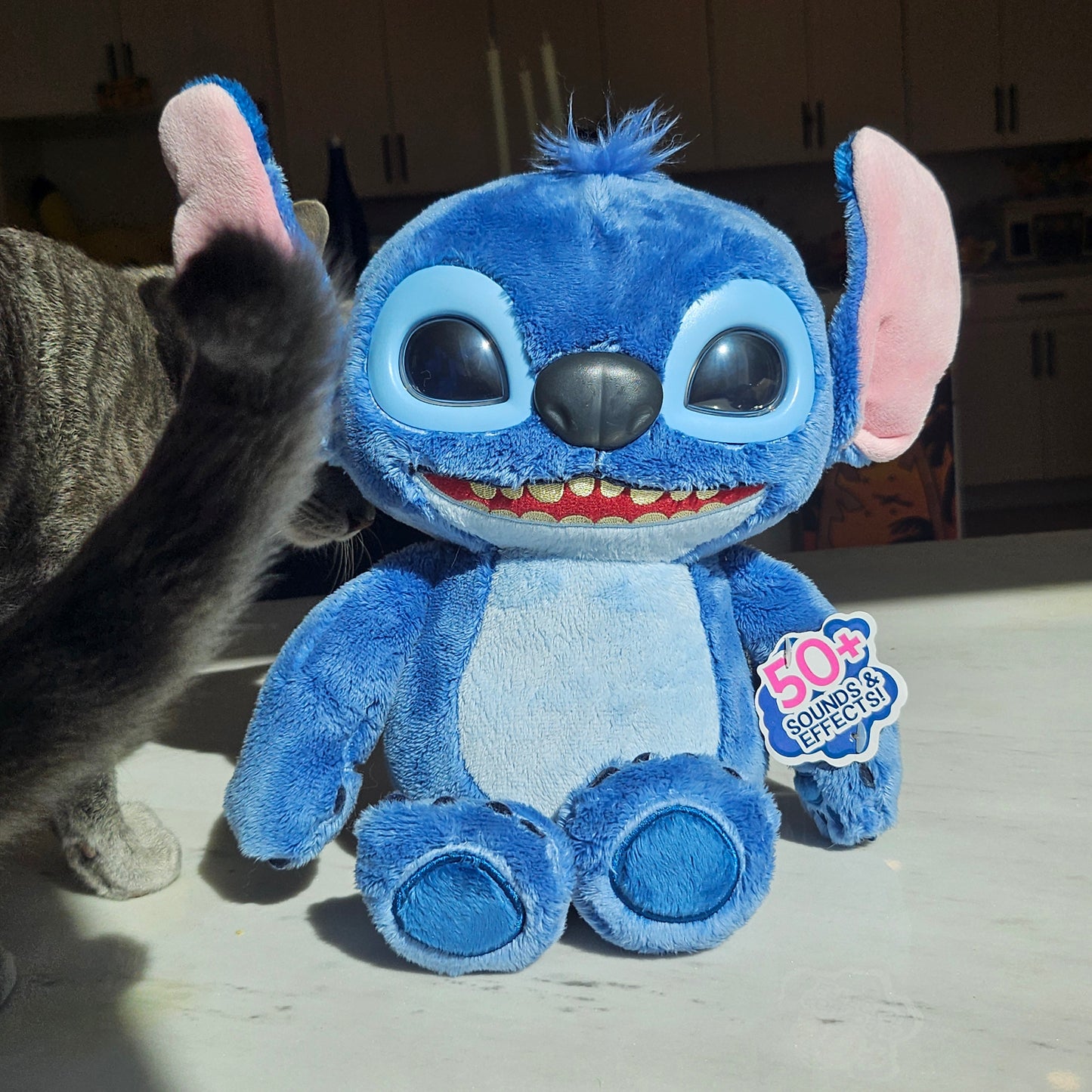 talking blue dog plushie