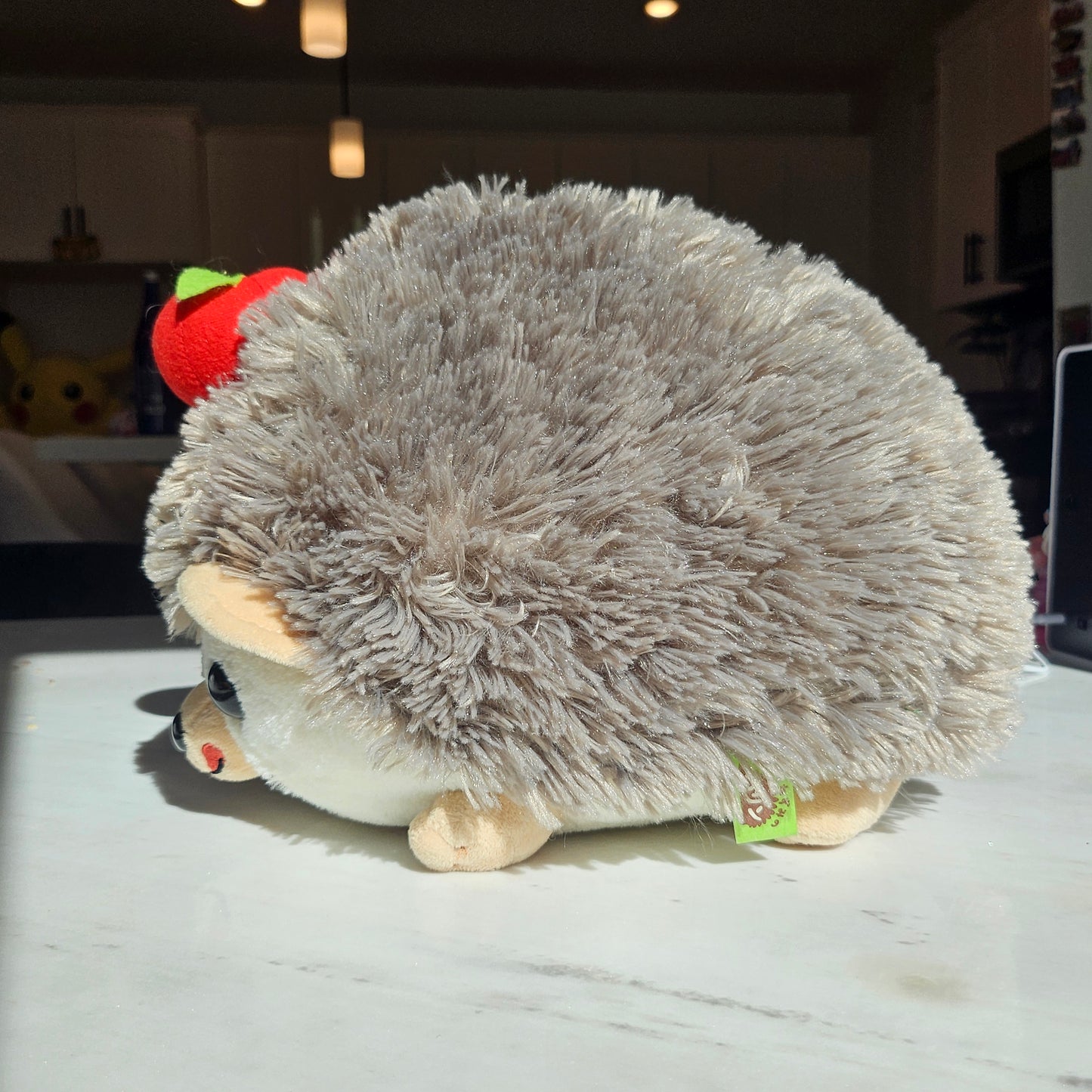 hedgehog plushie