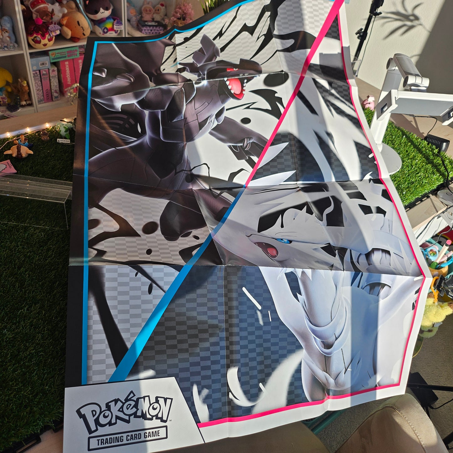 poster (black and white)