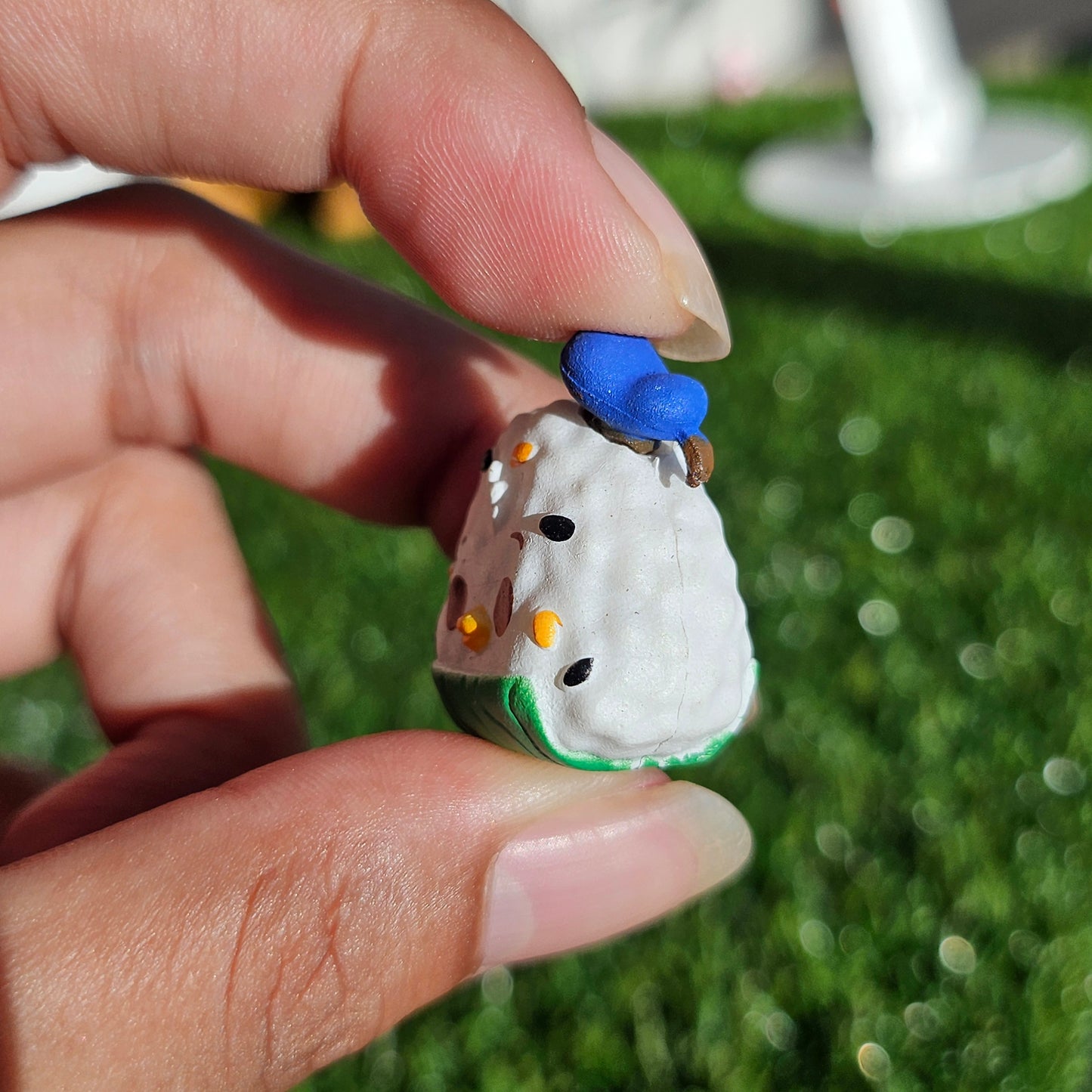 duck sushi