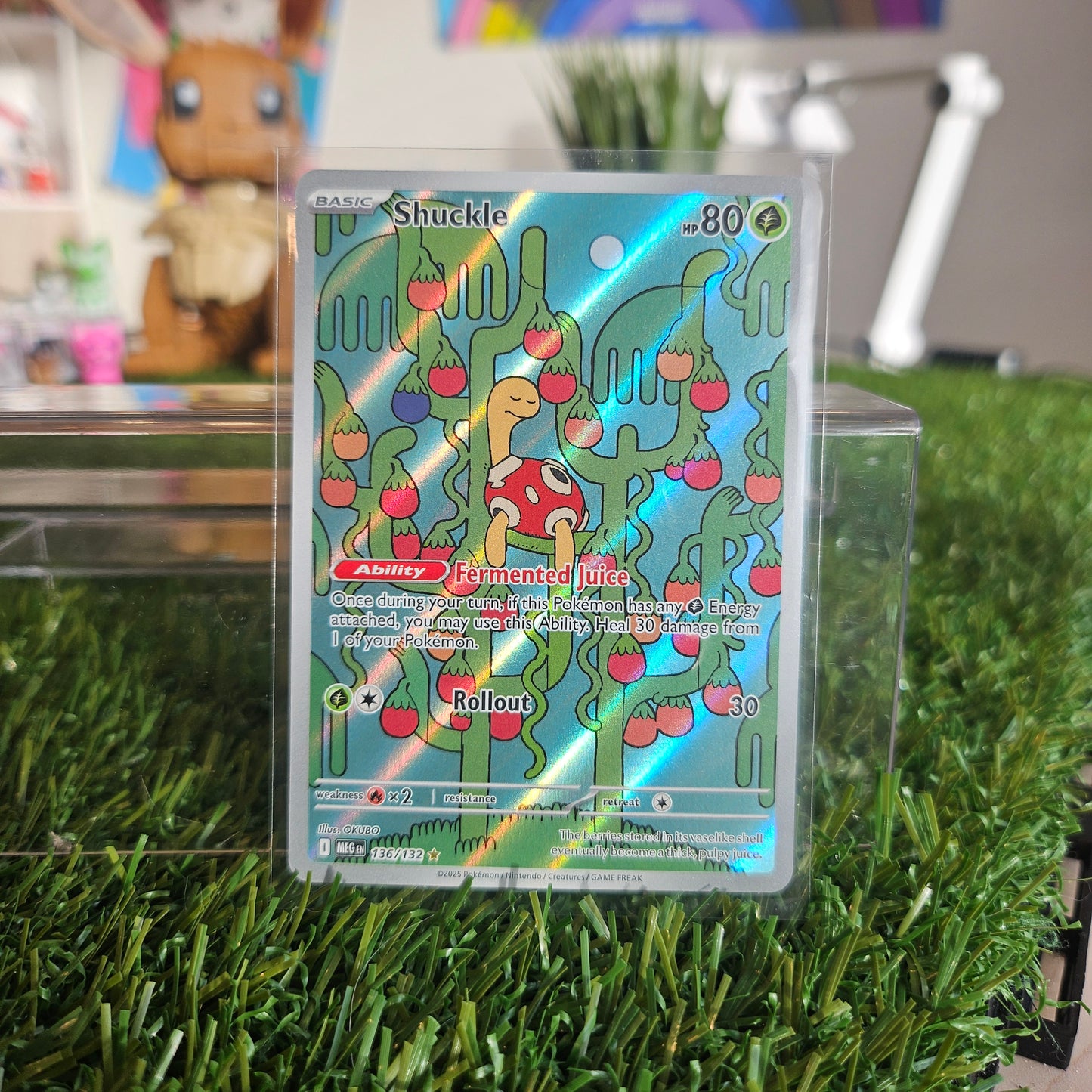 shuckle illustration rare