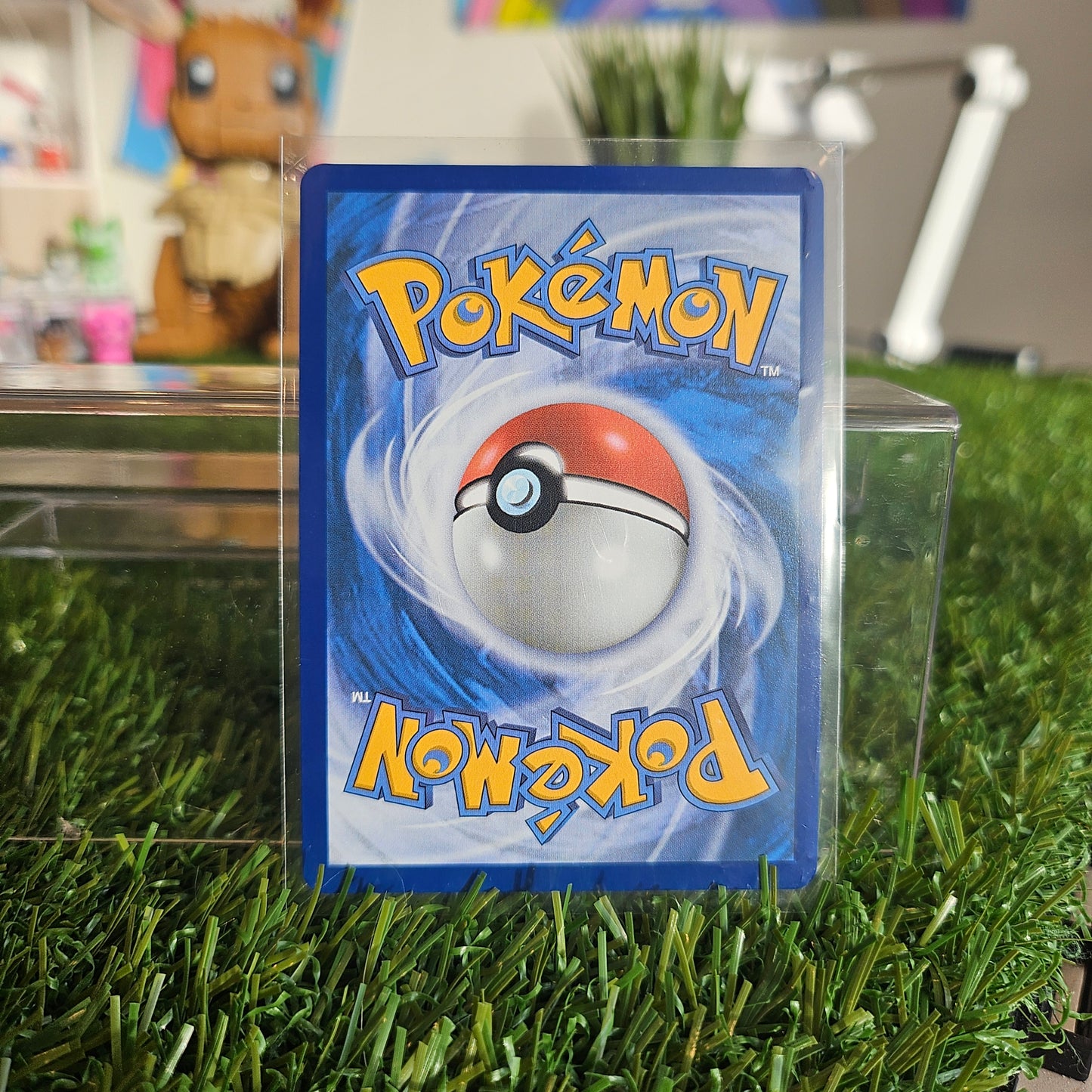 shuckle illustration rare