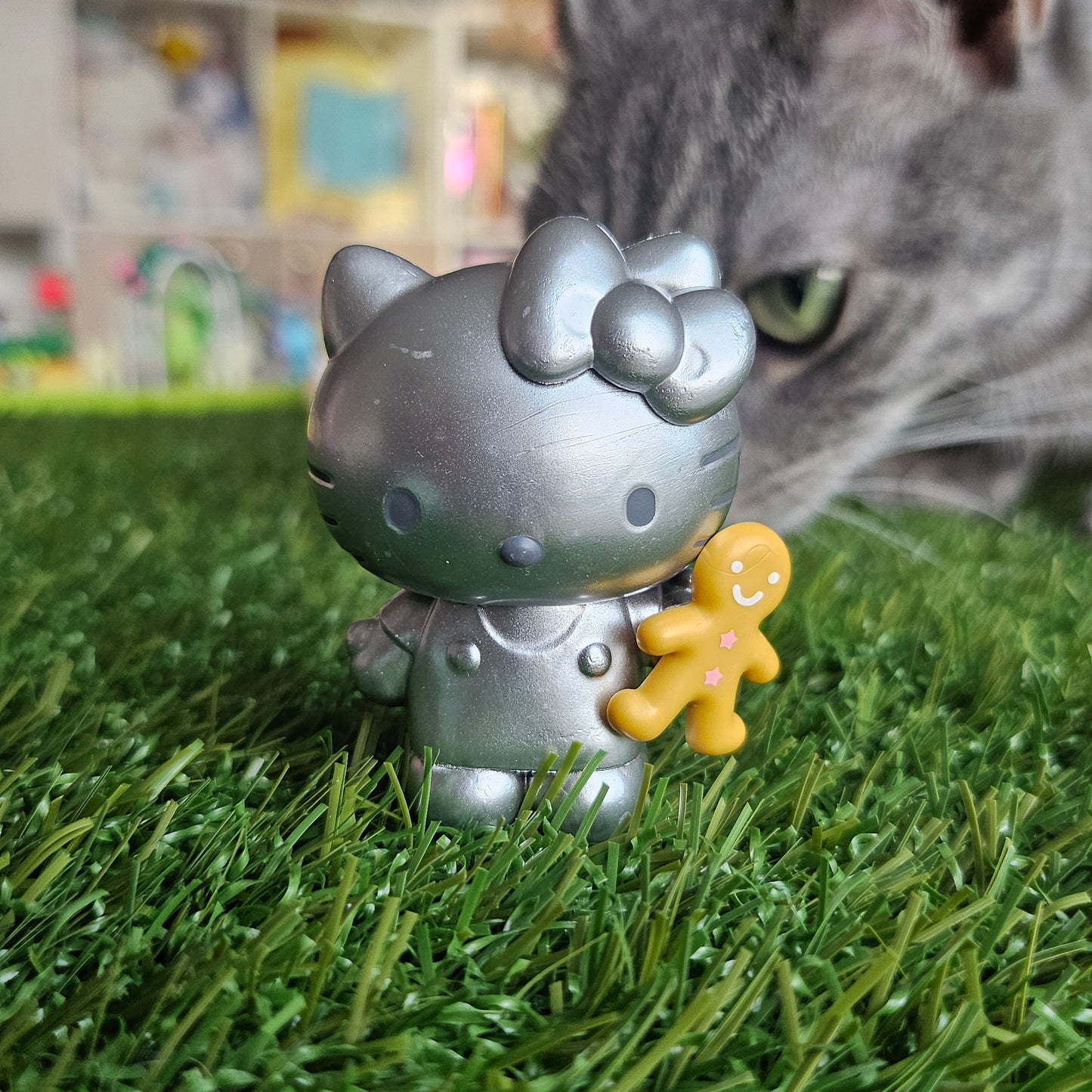 silver hk and gingerbread