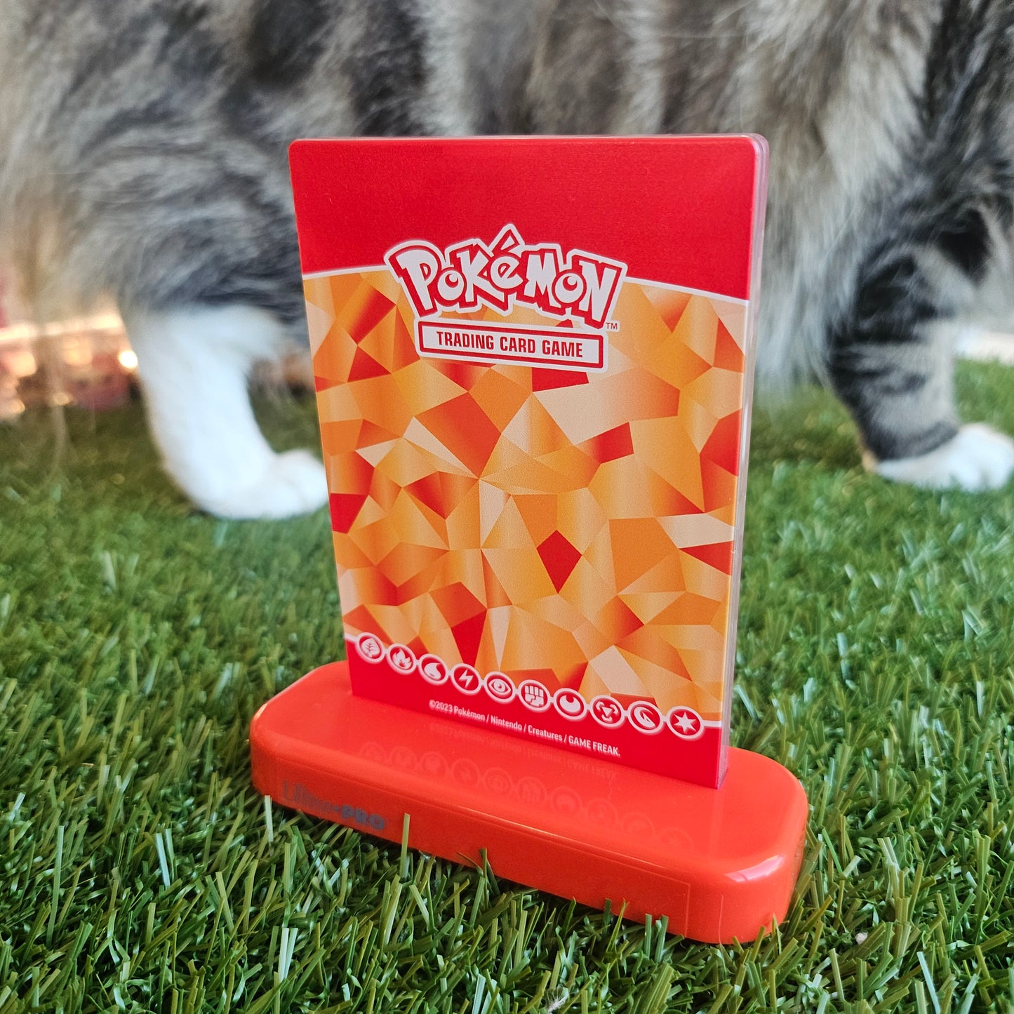 pokemon card holder (orange)