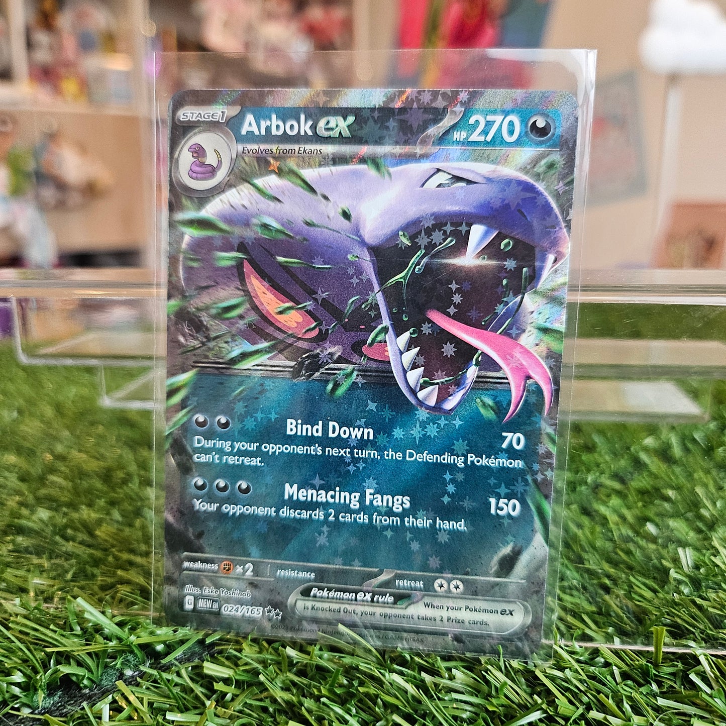 arbok ex