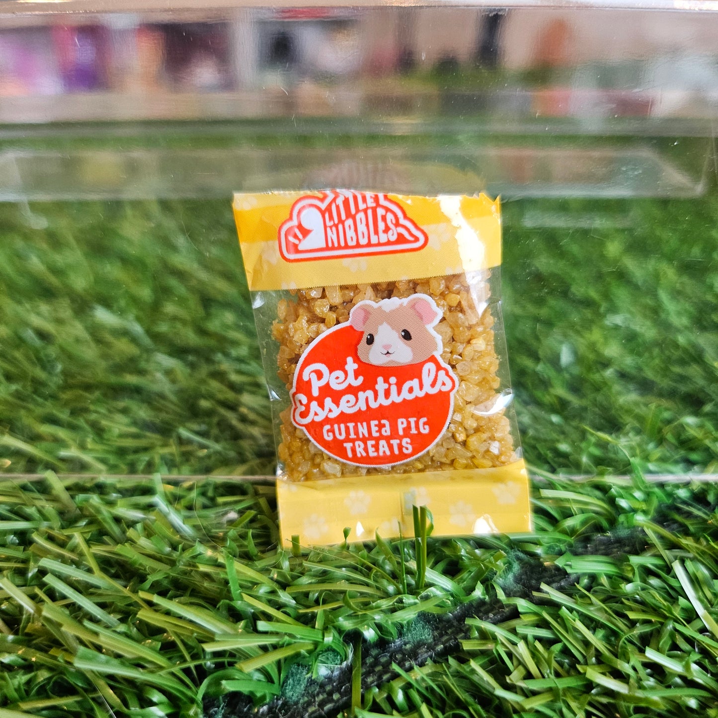 miniverse guinea pig treats