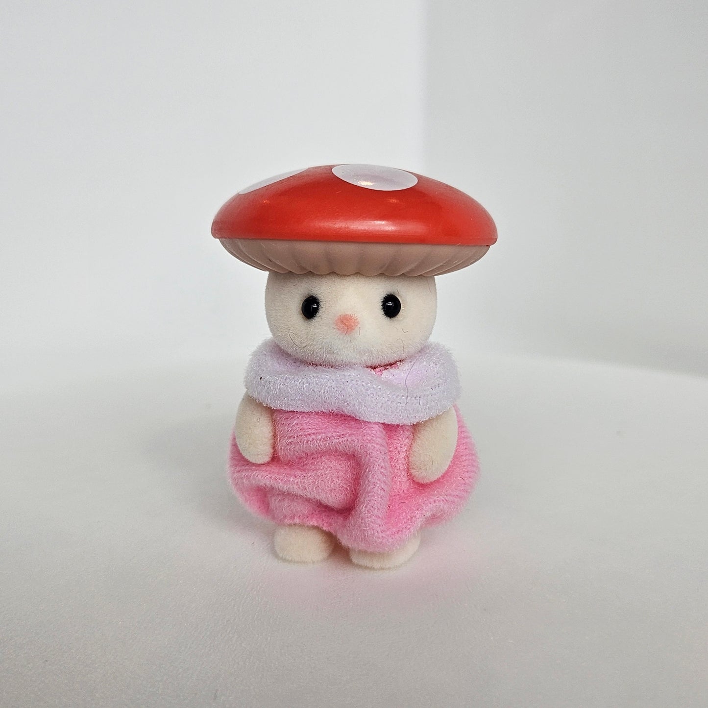 mushroom!! cat