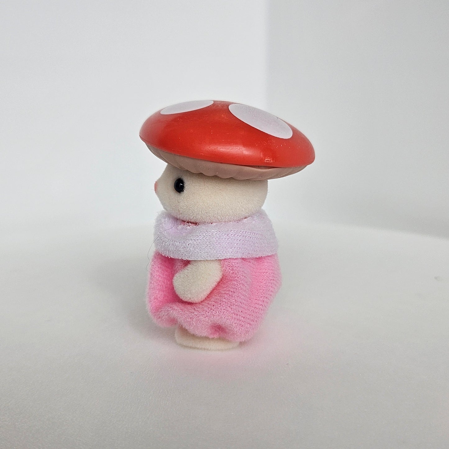 mushroom!! cat