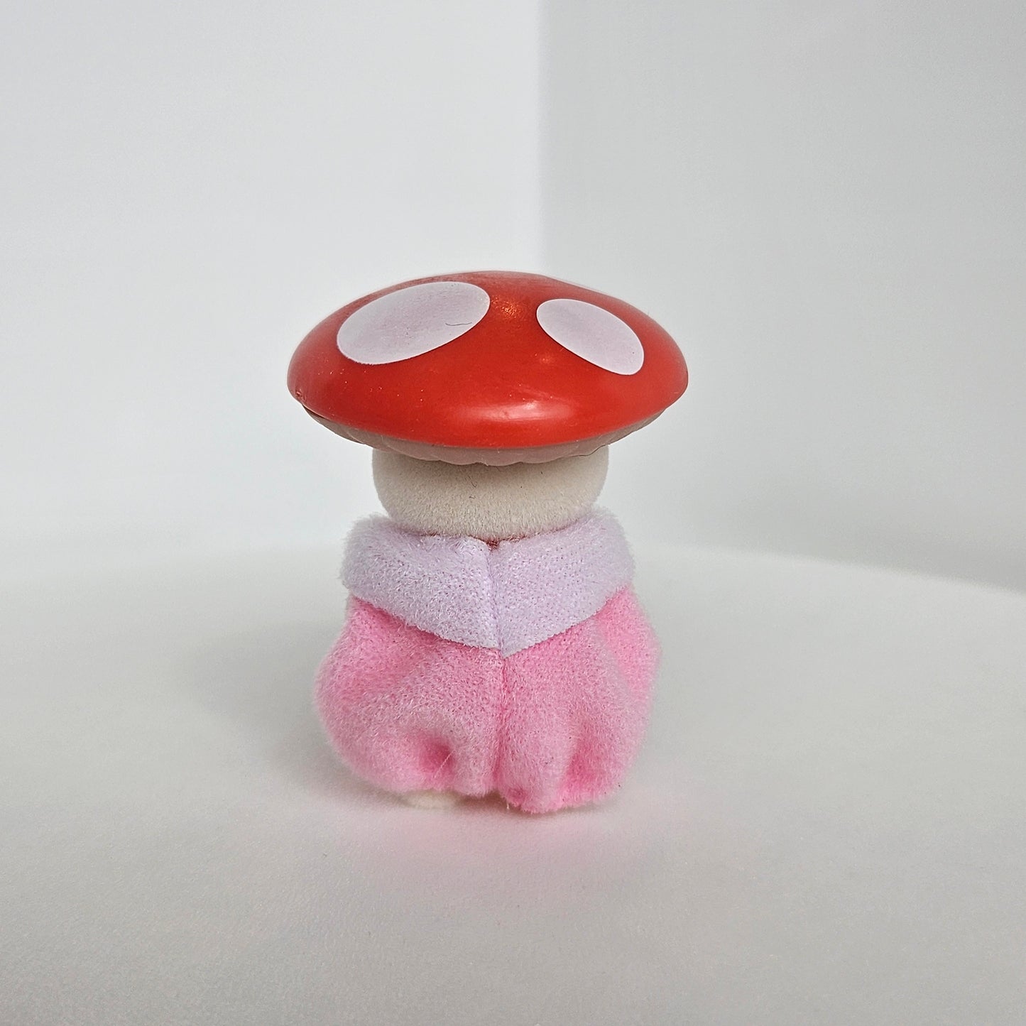 mushroom!! cat