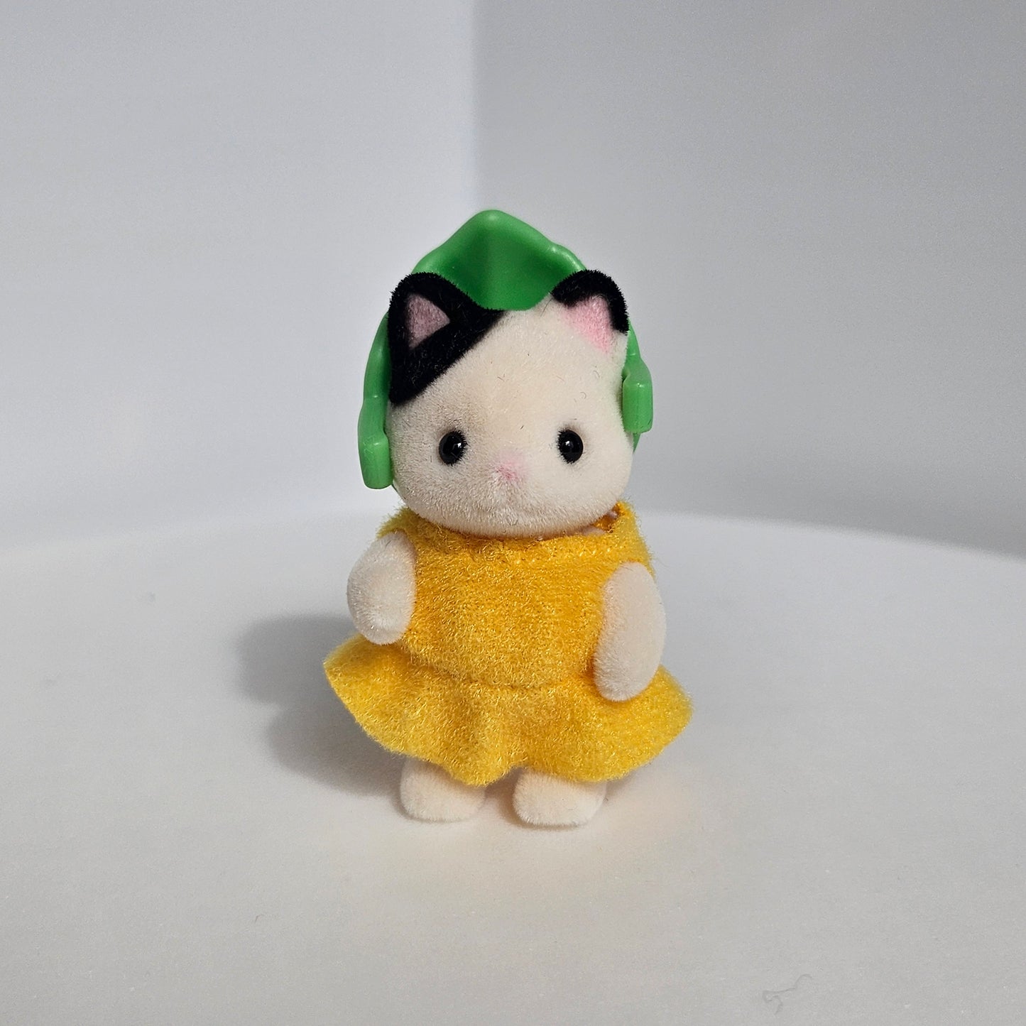 masked cat