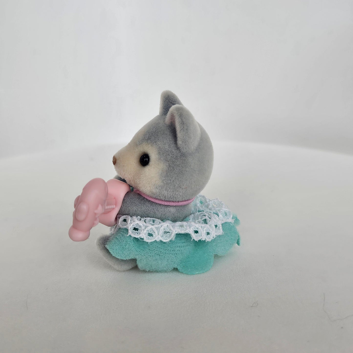 husky with fish rattle