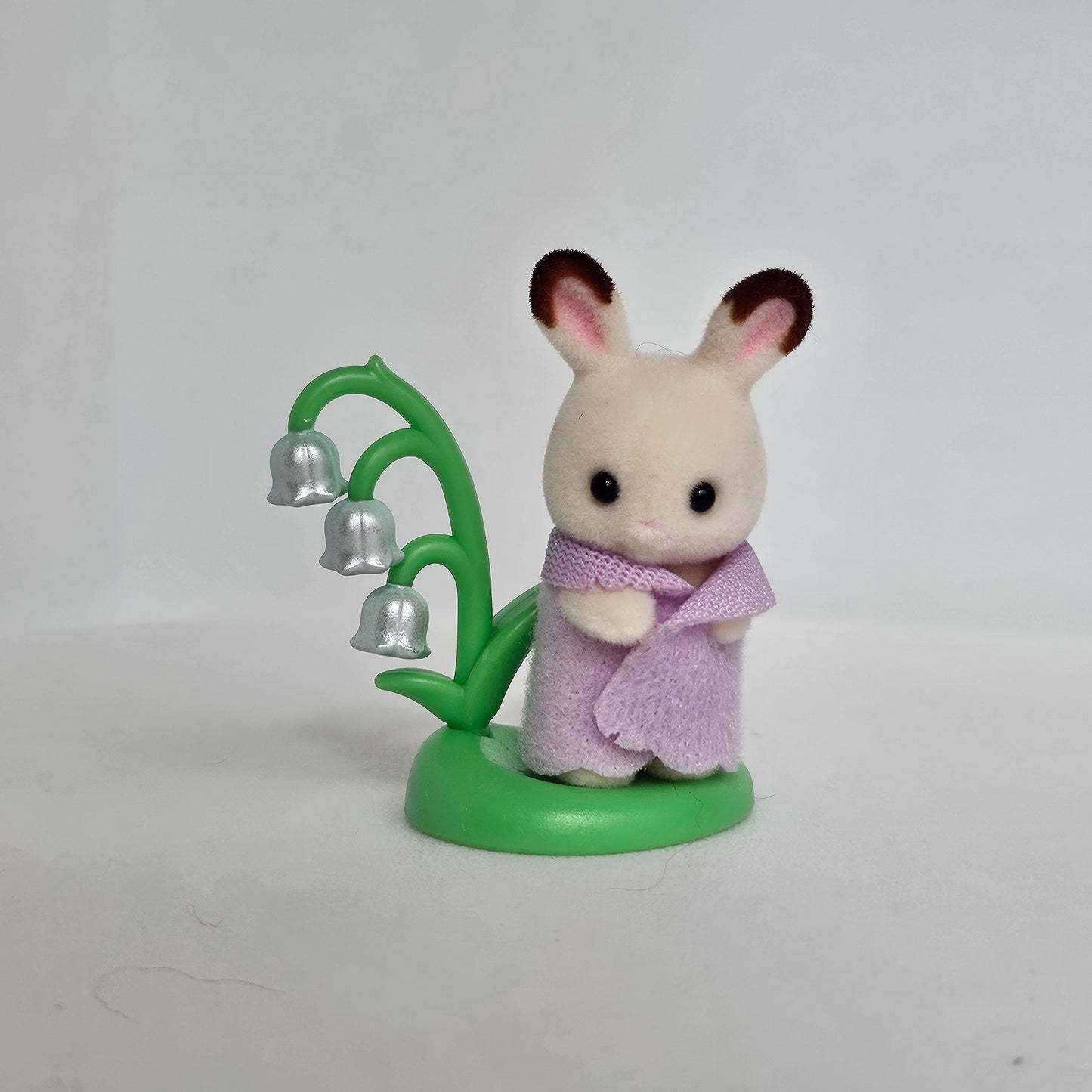 bunny with plant
