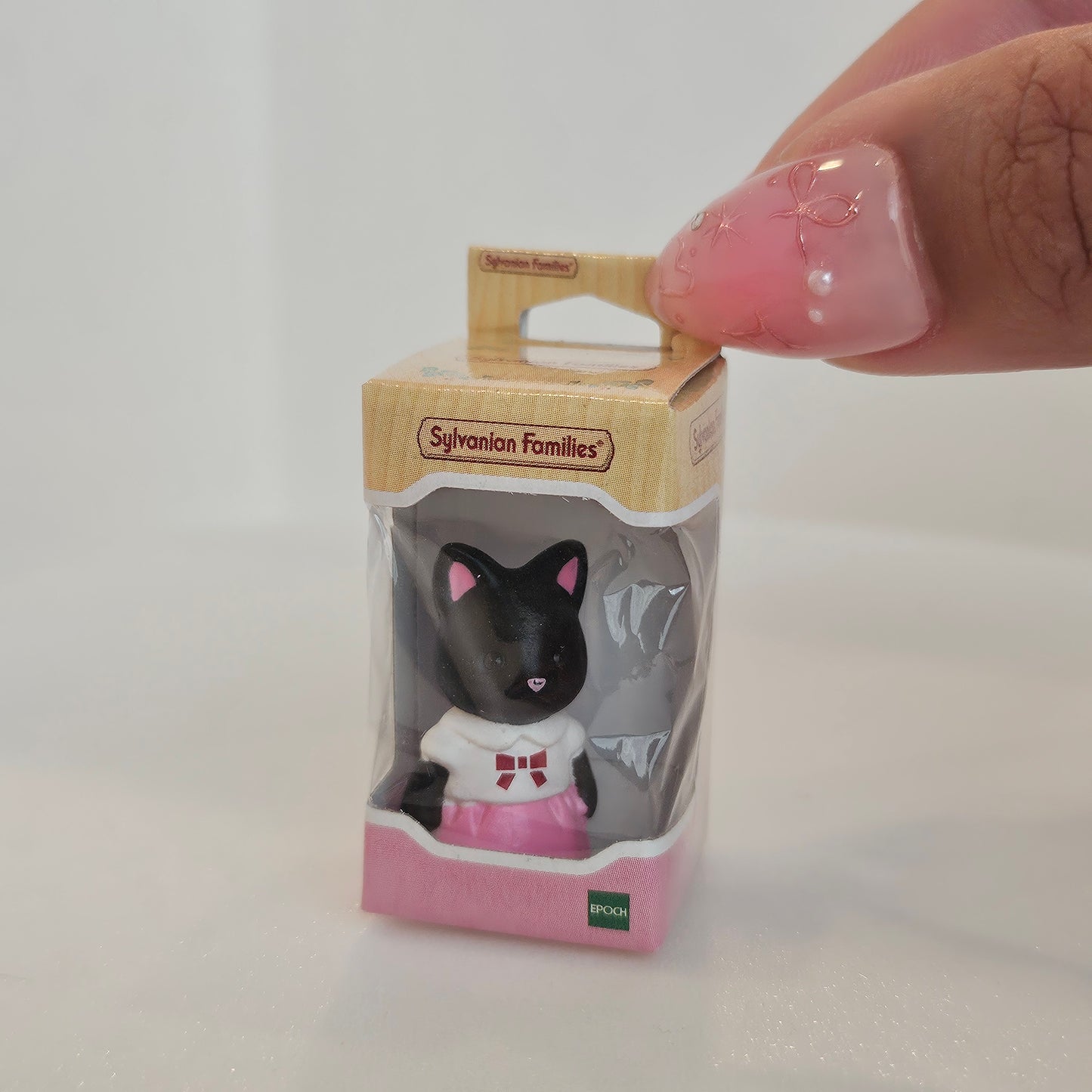 tiny cat in box