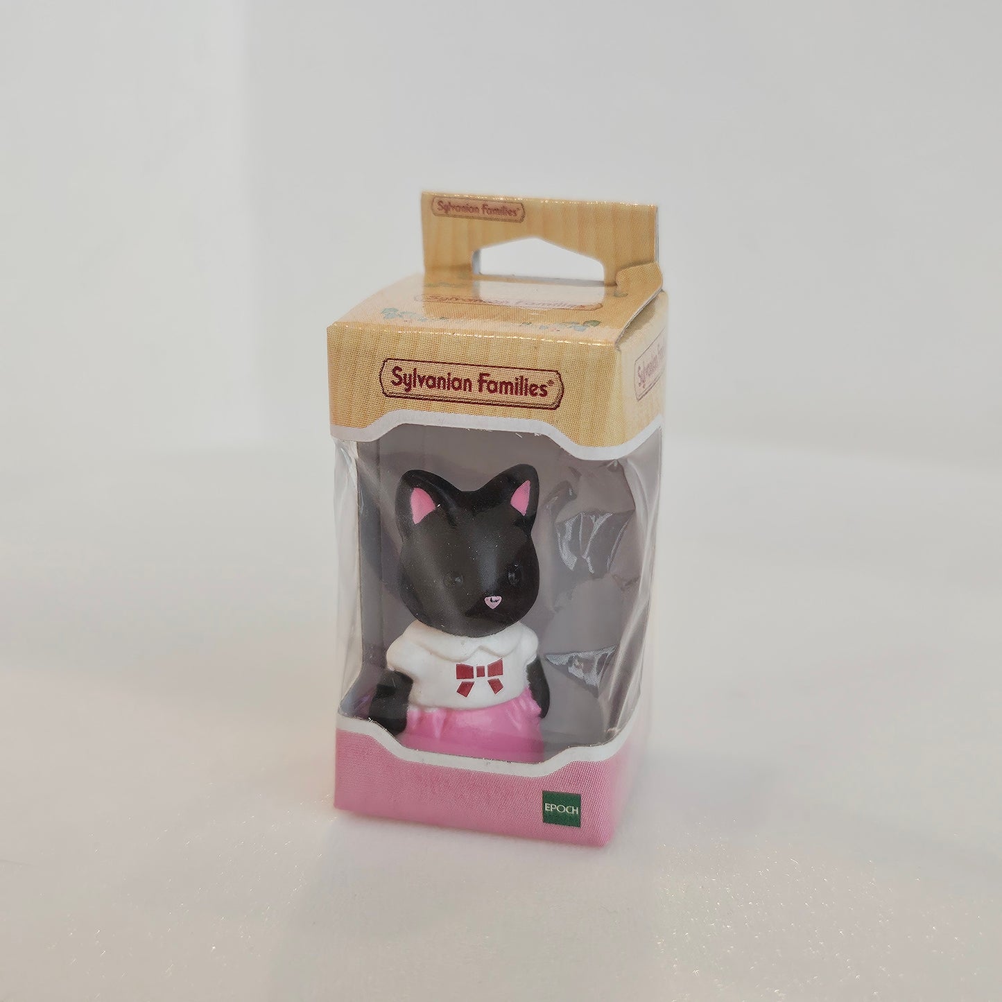 tiny cat in box