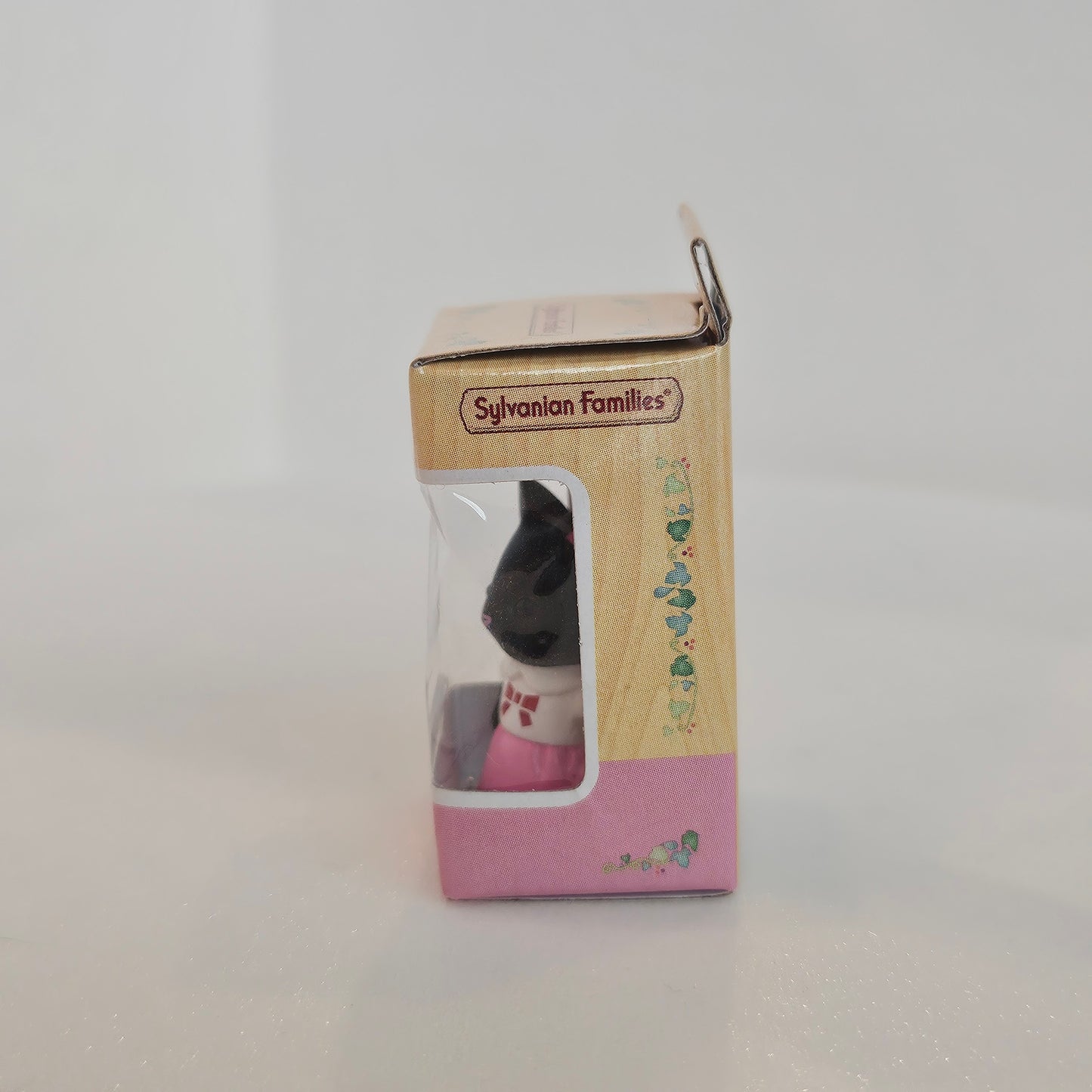tiny cat in box