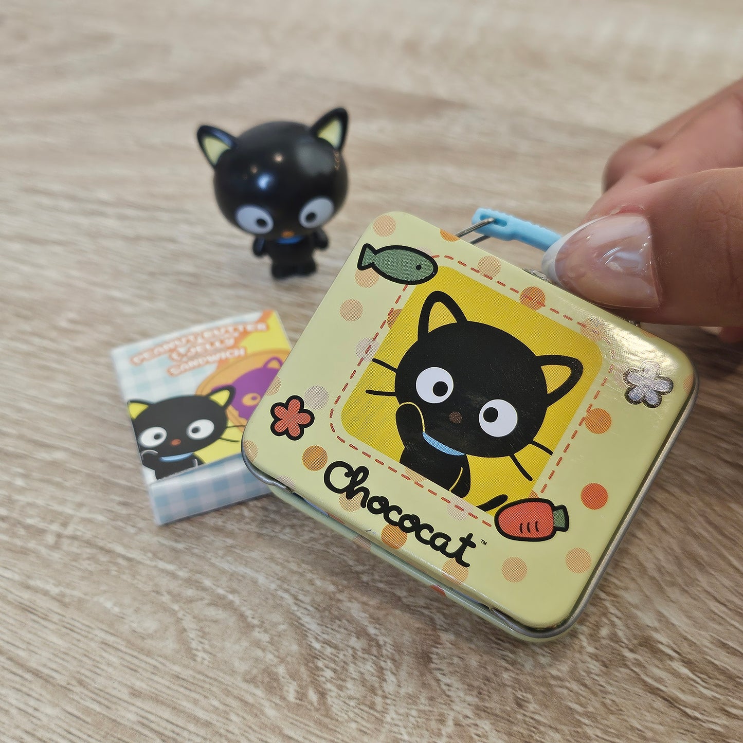 chocolate cat lunchbox