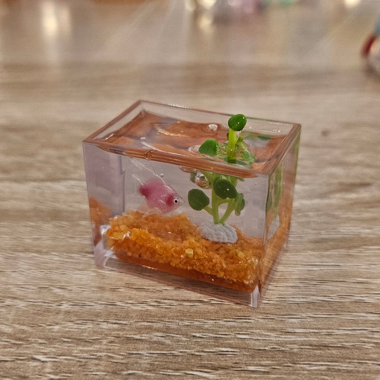 angelfish miniverse