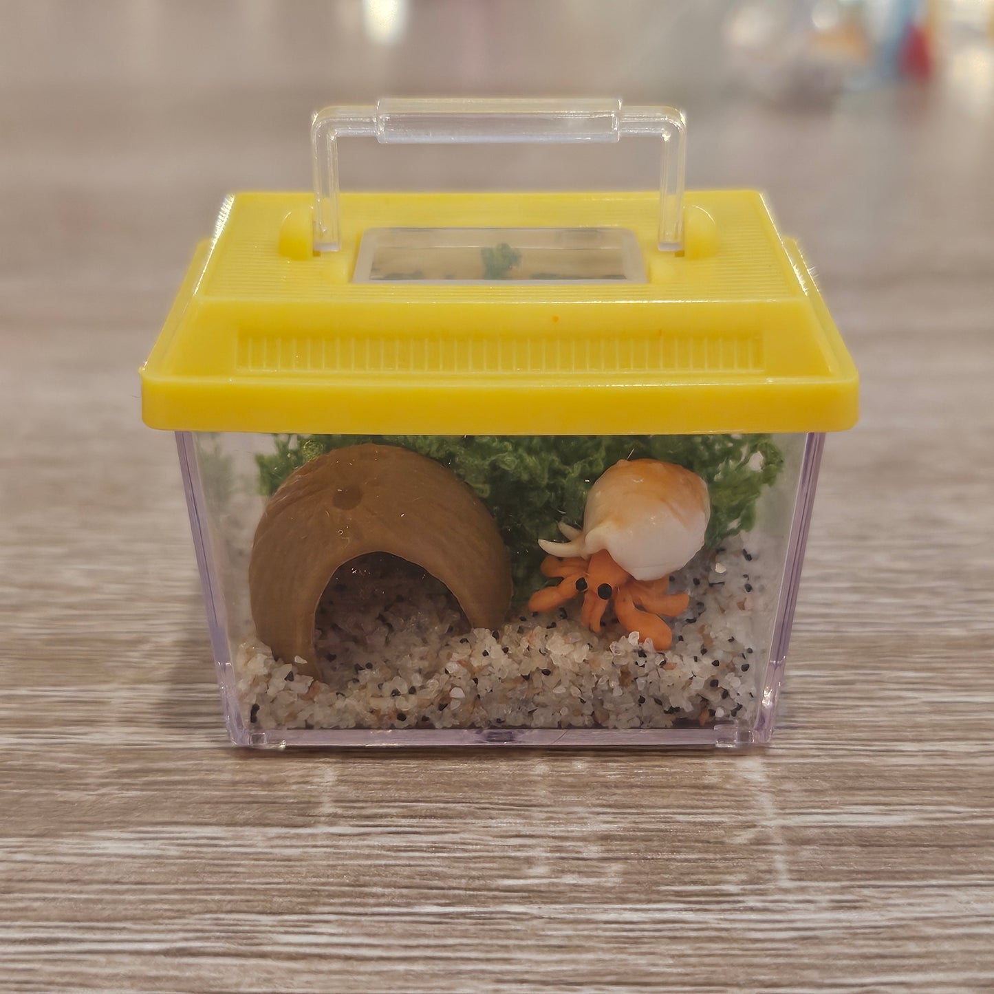 hermit crab miniverse