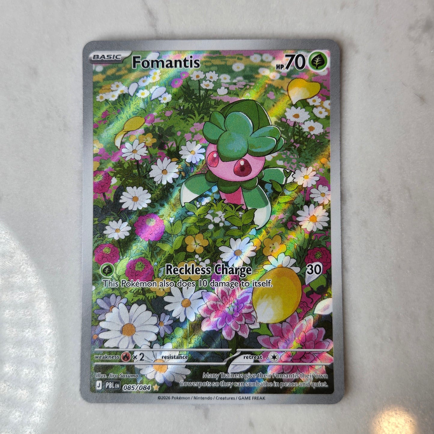 fomantis illustration rare