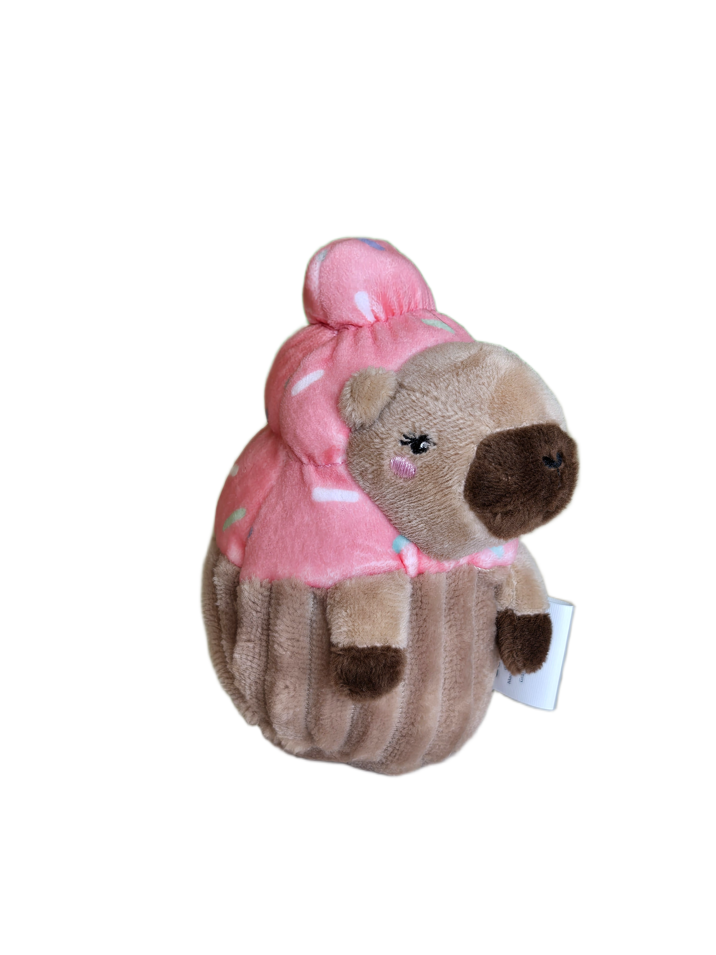 capy cupcake